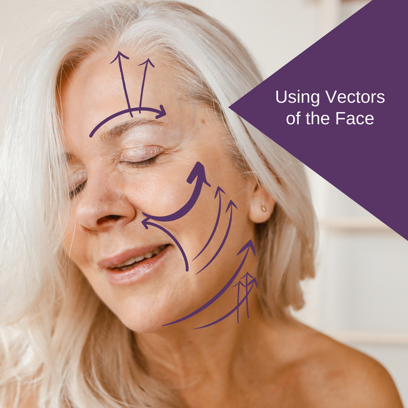 Using Vectors of the Face in Treatments